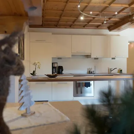 Haus Tannengruen 蒂罗尔-泽费尔德